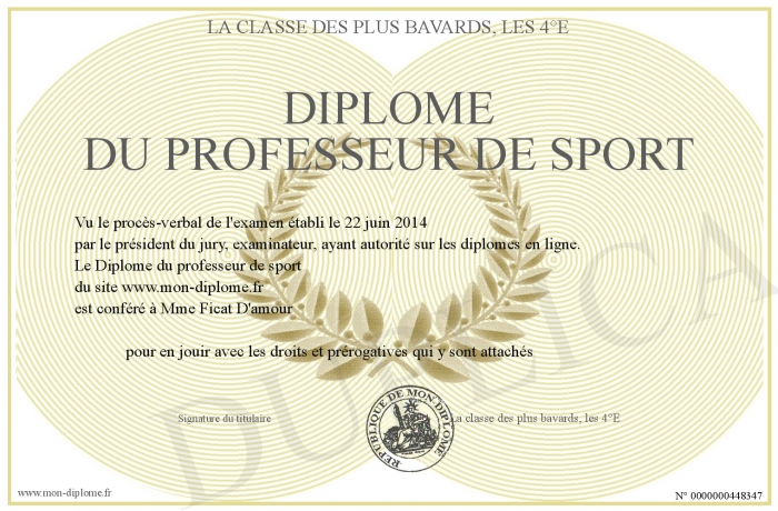 diplome prof de sport